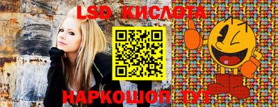 ГАЛЛЮЦИНОГЕННЫЕ ГРИБЫ Бердск