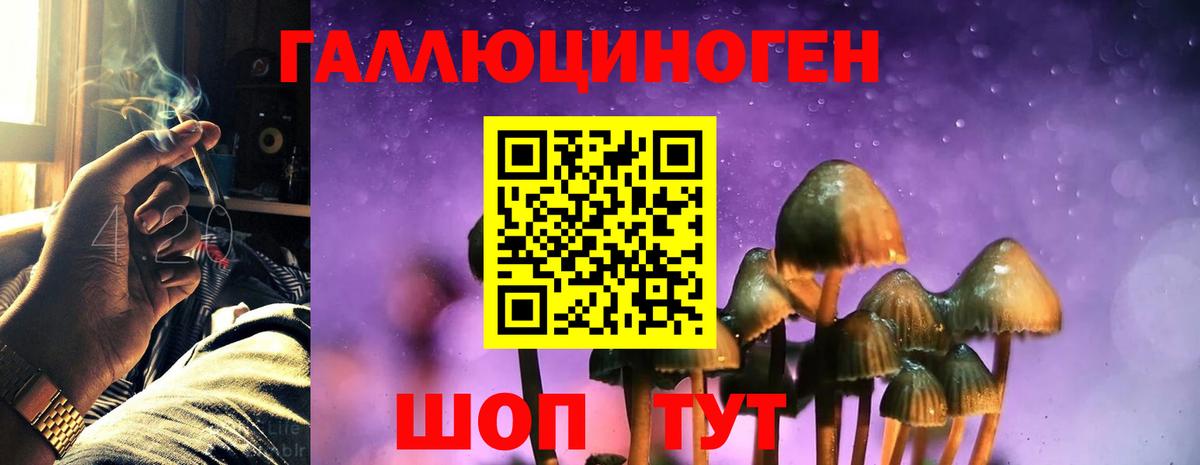 Псилоцибиновые грибы Psilocybine cubensis  Вход с VPN  Троицк 